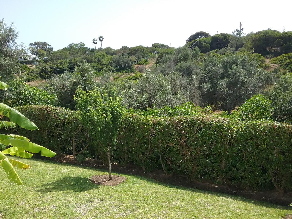 Bed and Breakfast Casa Cereja 'Adults Only' Albufeira Exterior foto